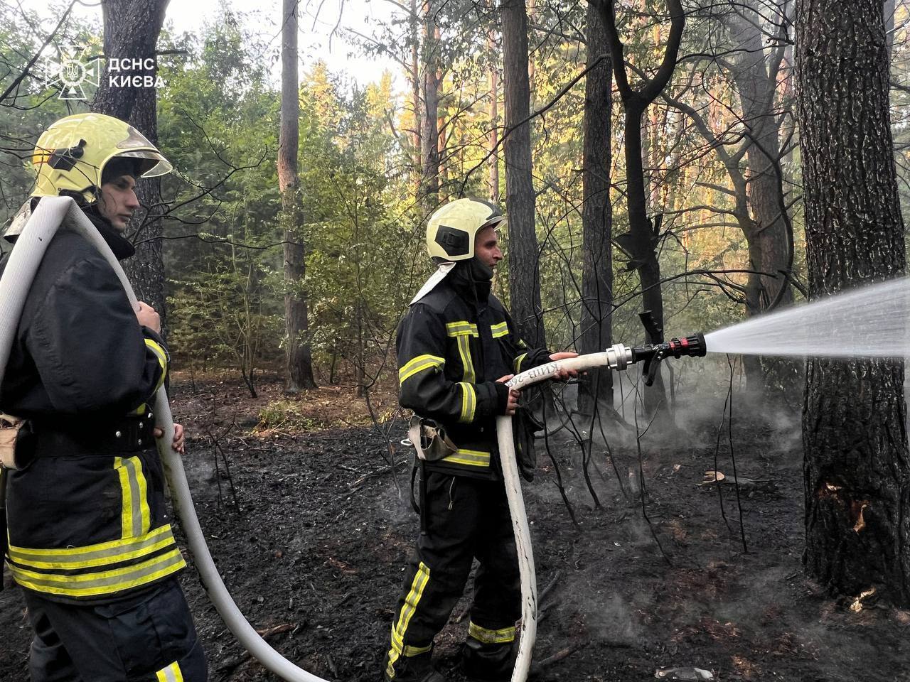 У Києві прогриміли вибухи: зафіксовано падіння уламків, виникли пожежі. Фото