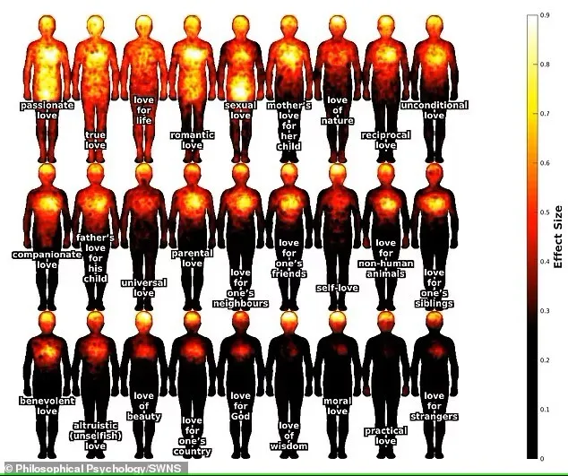 Вчені показали, де саме в мозку виникають різні типи любові – від кохання до прихильності до вашої собаки. Фото