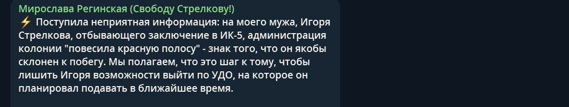 "Схильний до втечі": дружина Гіркіна бідкається, що його не збираються достроково випускати з в'язниці
