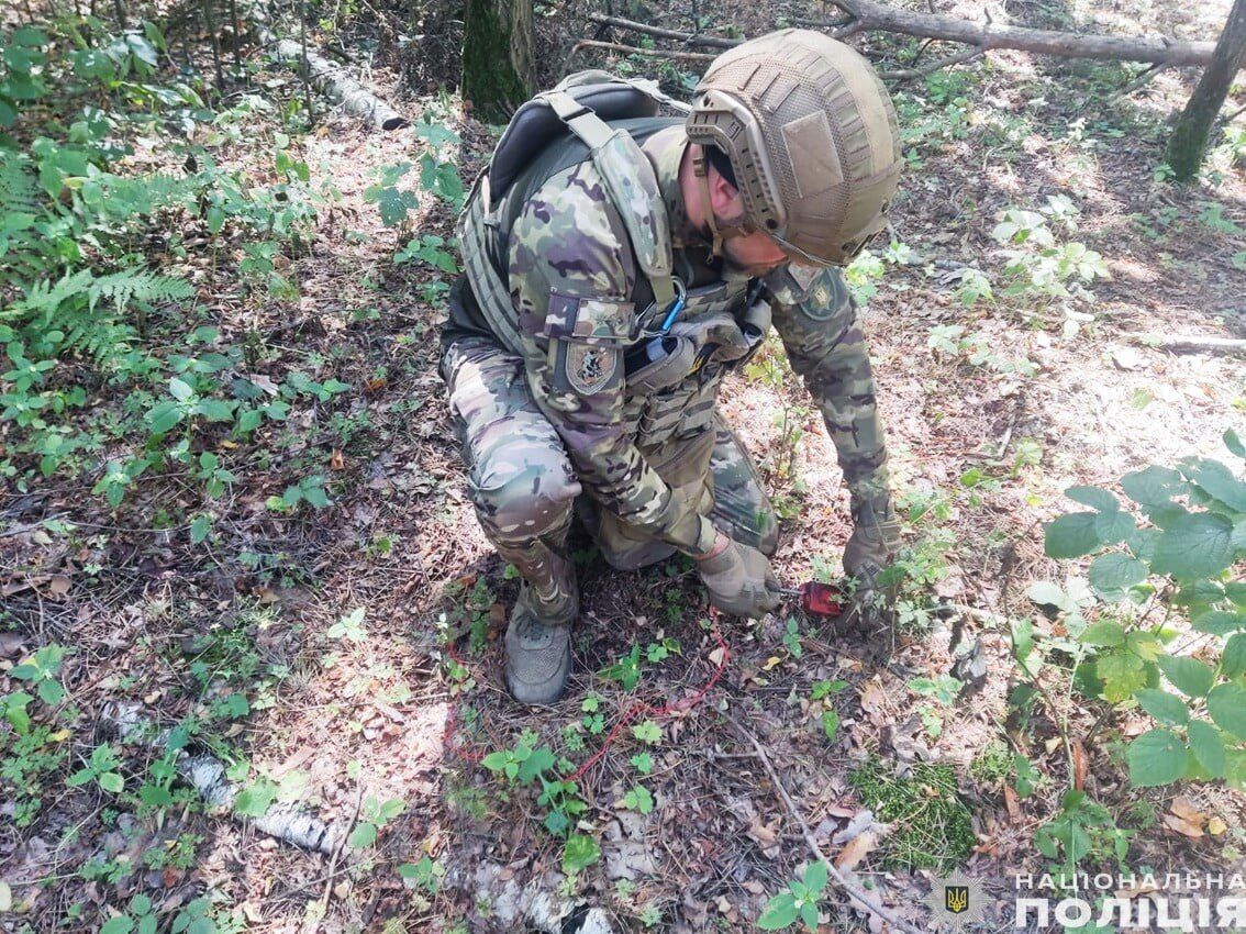 На Черниговщине взрывотехники обезвредили несдетонировавшую боевую часть вражеского БПЛА. Фото