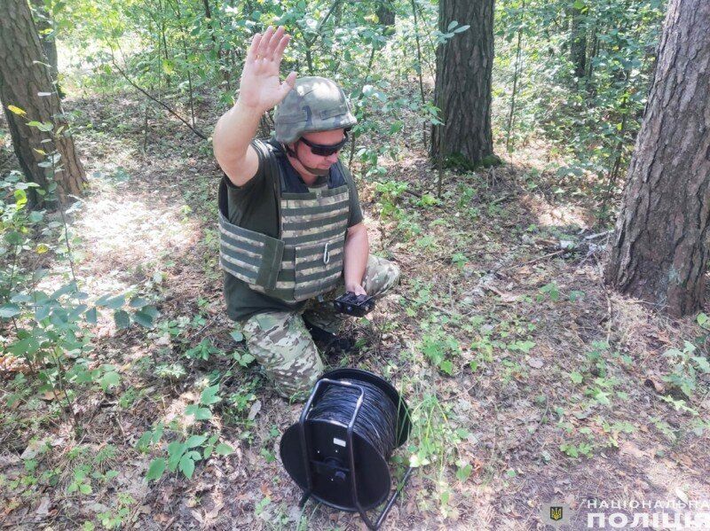 На Чернігівщині вибухотехніки знешкодили бойову частину ворожого БПЛА, яка не здетонувала. Фото 