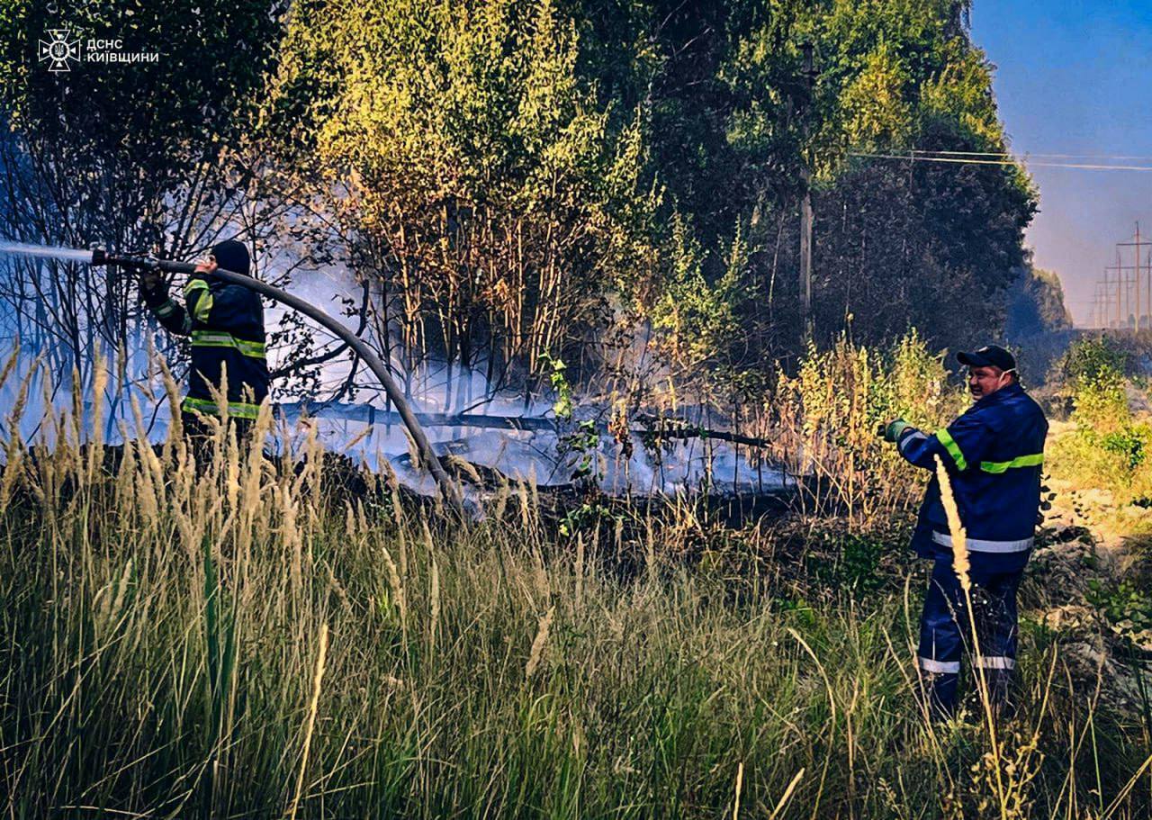 Площа всіх пожеж складала понад 40 га: на Київщині 9 вересня понад 100 раз гасили загоряння. Фото