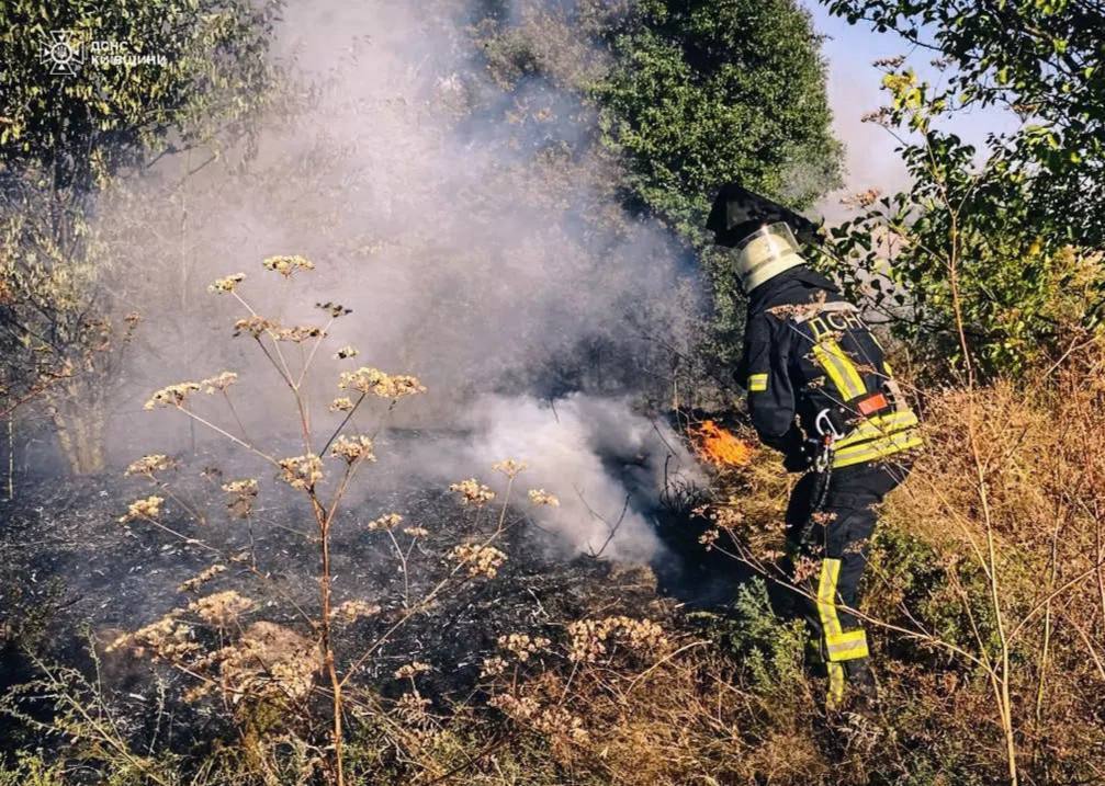 Площадь всех пожаров составила более 40 га: на Киевщине 9 сентября более 100 раз гасили возгорания. Фото