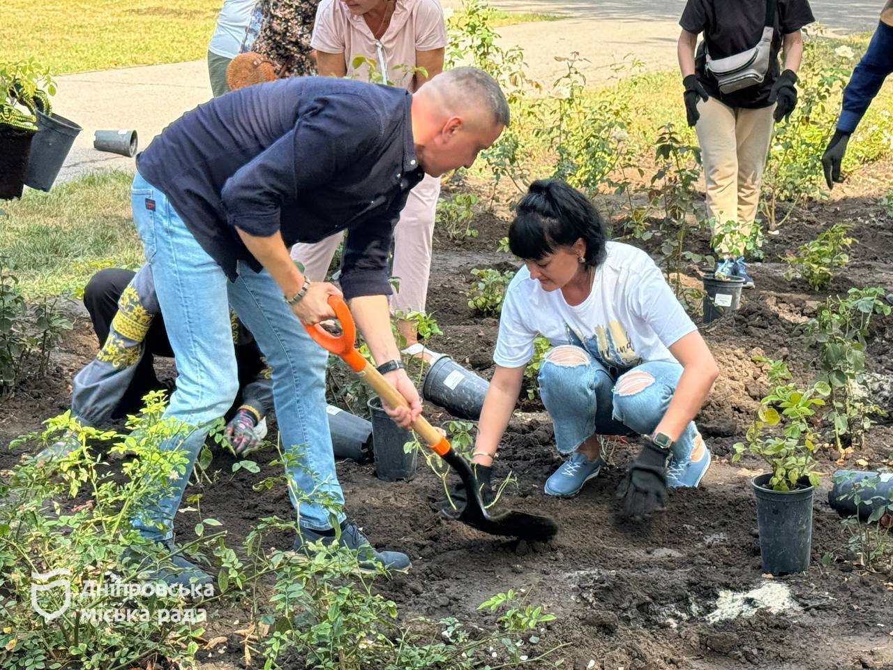 В Днепре ко дню города Бахмут высадили аллею роз