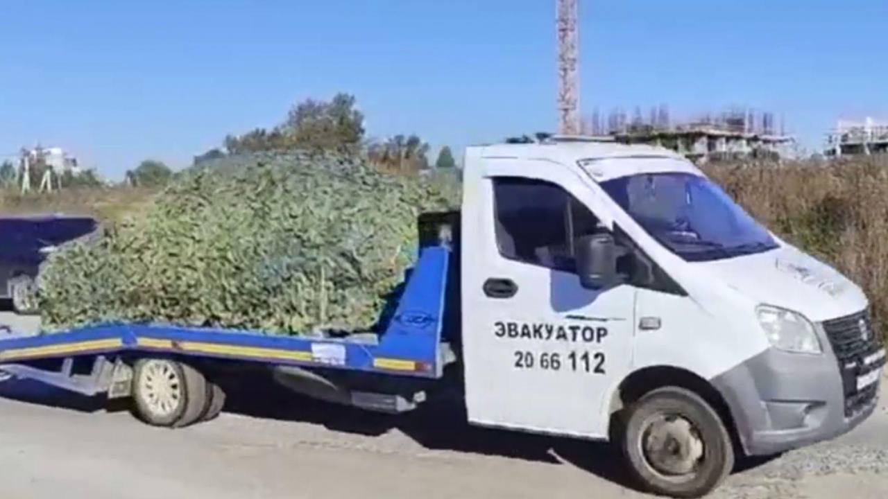 Акт возмездия: в ГУР рассказали подробности о взрыве возле КПП военной части Росгвардии в Екатеринбурге. Фото