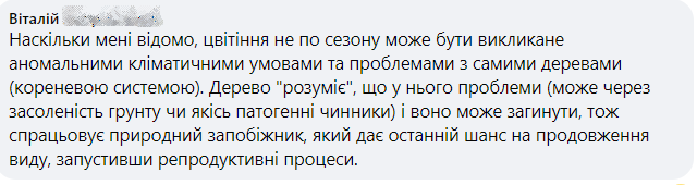 У Києві на початку вересня зацвіли каштани. Фотофакт