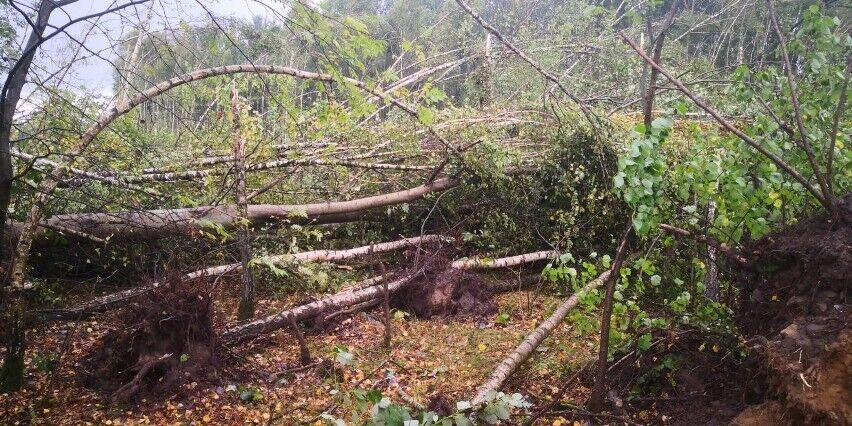 Неподалік Варшави зняли на відео гігантське торнадо: пошкоджено десятки будинків та автівок