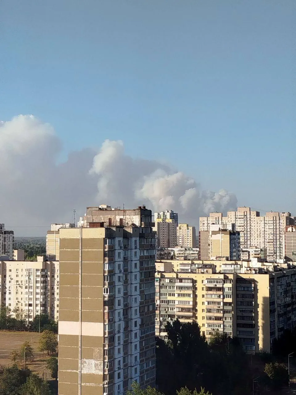 На околиці Києва спалахнула масштабна пожежа: горить лісова підстилка, дим видно у багатьох районах столиці. Фото і відео