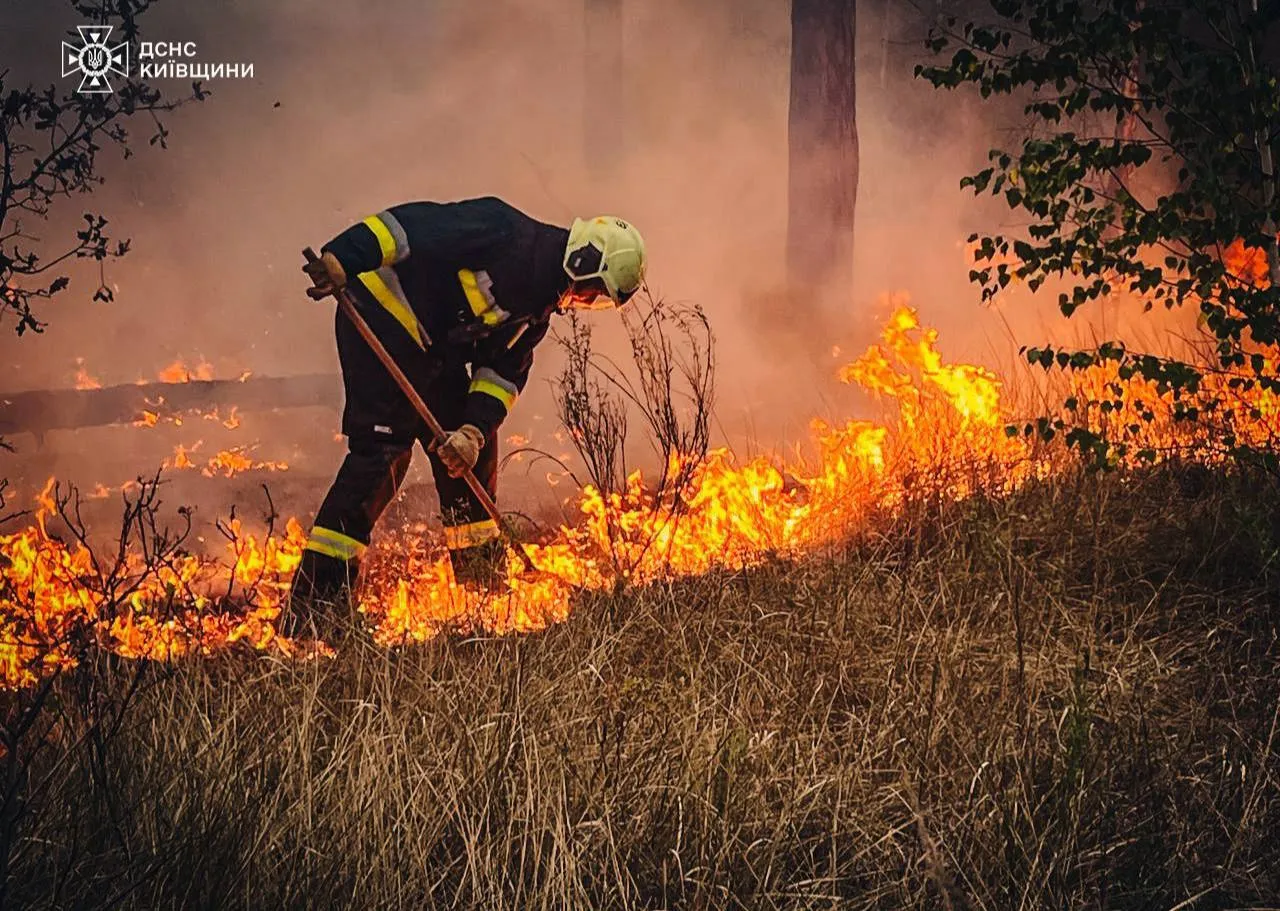 На околиці Києва спалахнула масштабна пожежа: горить лісова підстилка, дим видно у багатьох районах столиці. Фото і відео