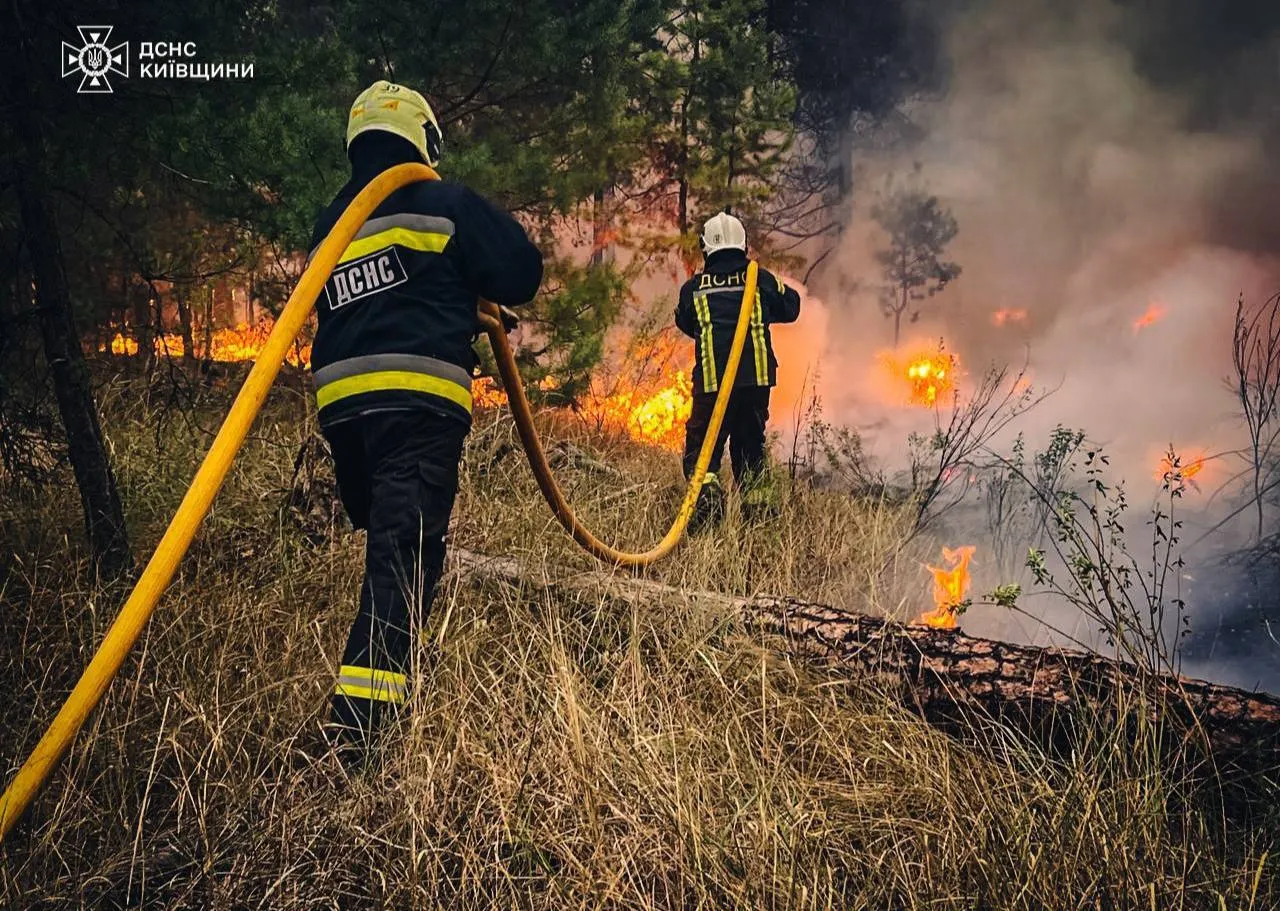 На околиці Києва спалахнула масштабна пожежа: горить лісова підстилка, дим видно у багатьох районах столиці. Фото і відео