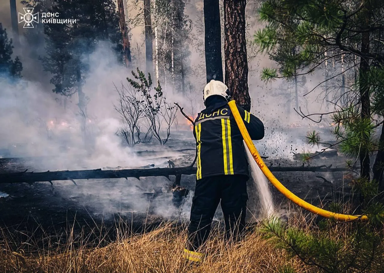 На околиці Києва спалахнула масштабна пожежа: горить лісова підстилка, дим видно у багатьох районах столиці. Фото і відео