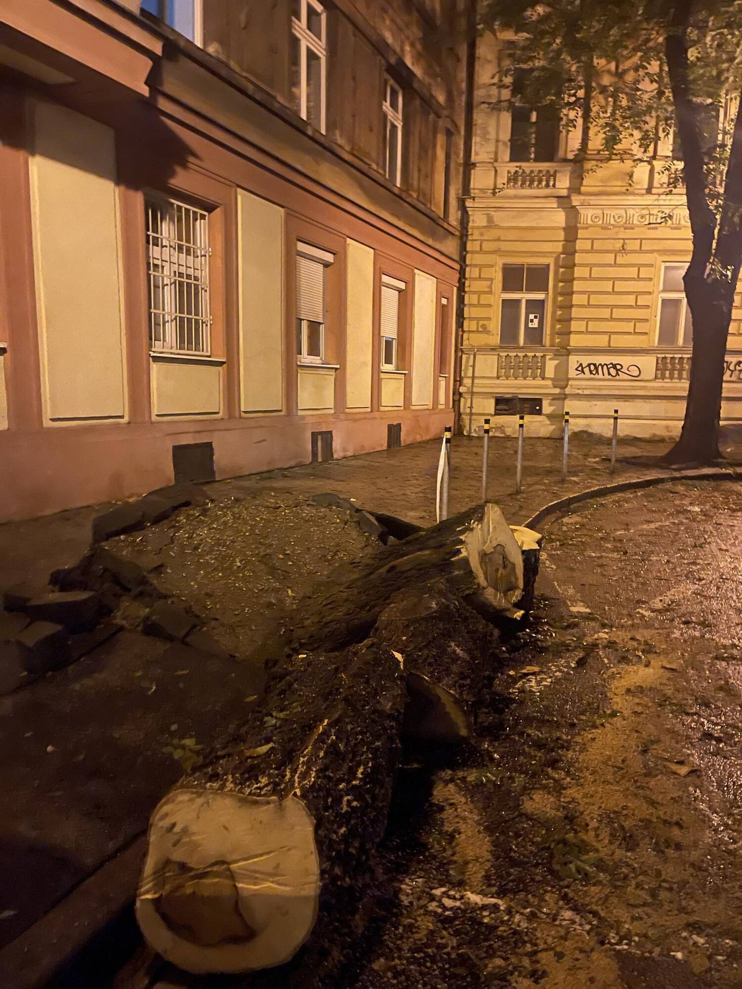 Сносит дома, мосты, заливает метро и ласточки падают с неба: Европу накрыл водяной армагеддон