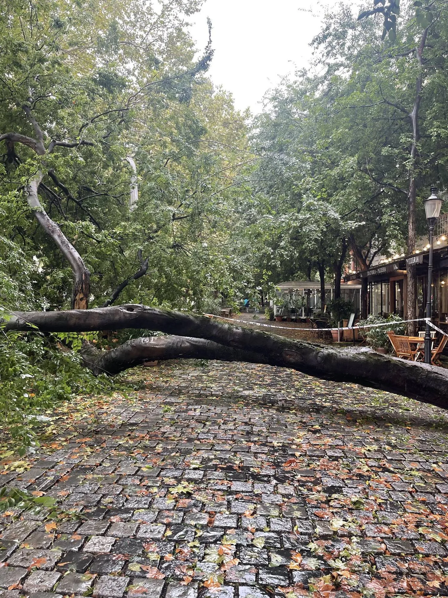 Зносить будинки, мости, заливає метро і ластівки падають з неба: Європу накрив водяний армагеддон