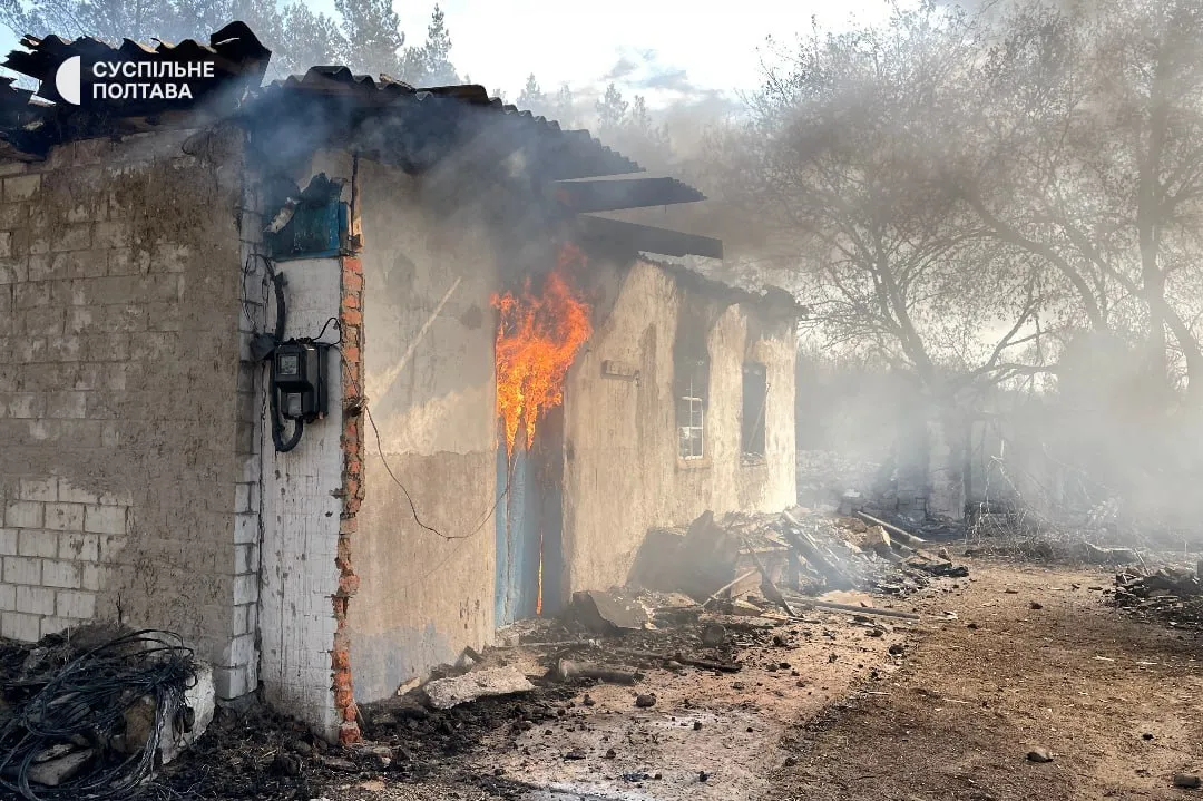 Вогонь стрімко поширився: на Полтавщині через лісову пожежу згоріли десятки будинків. Фото