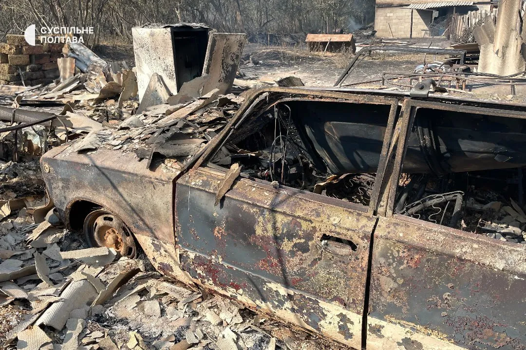 Огонь стремительно распространился: в Полтавской области из-за лесного пожара сгорели десятки домов. Фото