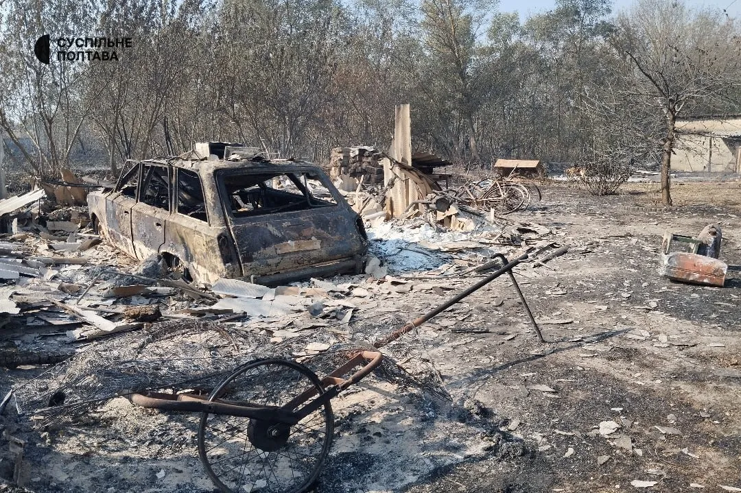 Огонь стремительно распространился: в Полтавской области из-за лесного пожара сгорели десятки домов. Фото