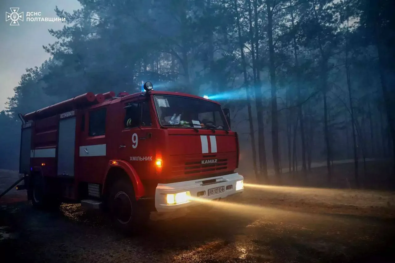 Вогонь стрімко поширився: на Полтавщині через лісову пожежу згоріли десятки будинків. Фото