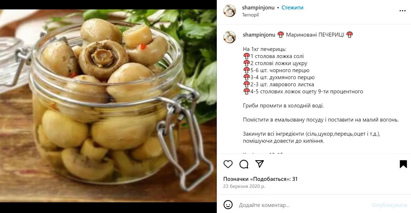 Как вкусно замариновать шампиньоны на зиму: вариант замечательной пряной закуски к праздничному столу