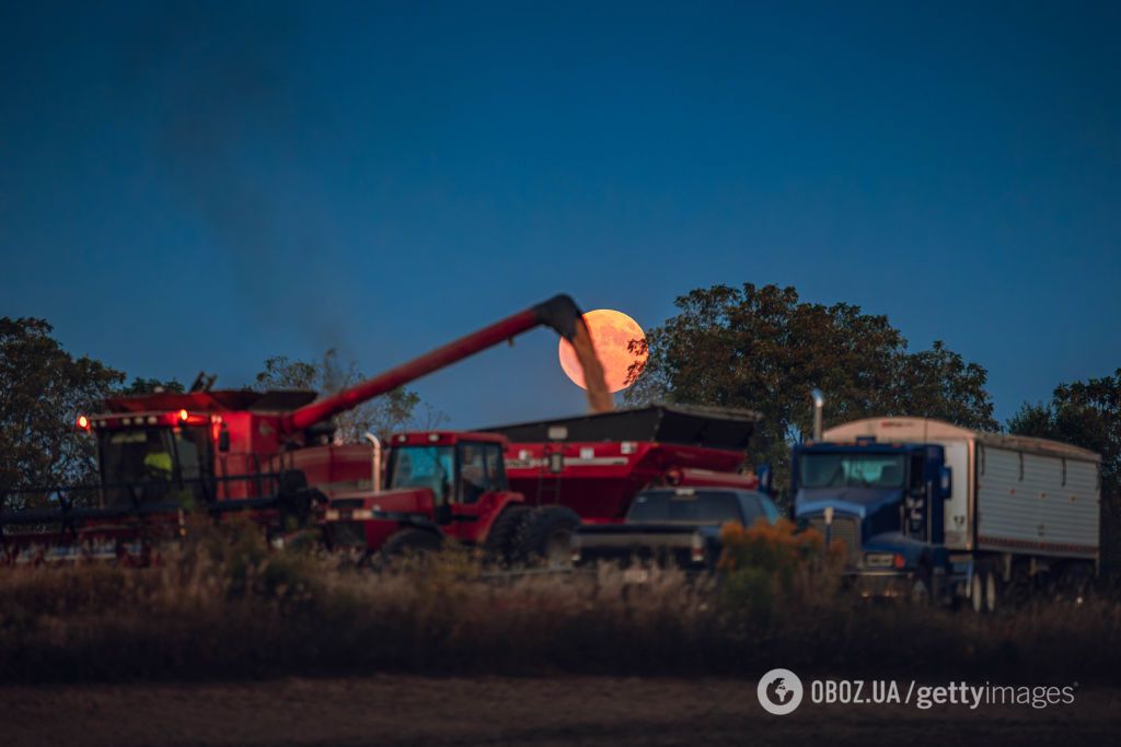 Це щось позаземне! Яким люди запам'ятають казковий Урожайний Супермісяць 2024. Фото