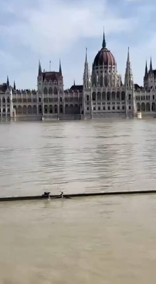 В Будапеште вышел из берегов Дунай, подтопило здание парламента. Фото и видео