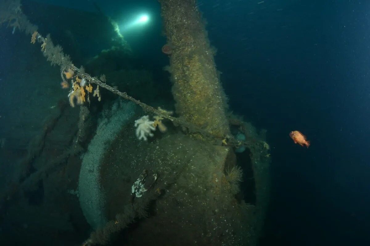 У Північному морі знайшли британський військовий корабель часів Першої світової війни, який несподівано затонув 110 років тому
