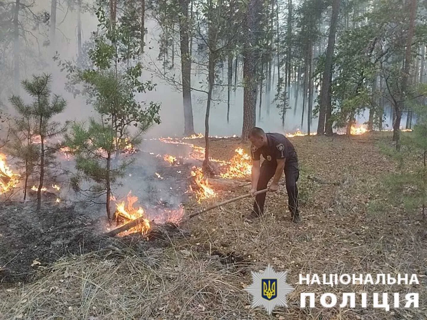 Київ накрив їдкий дим від пожеж: що робити і коли чекати на покращення погоди