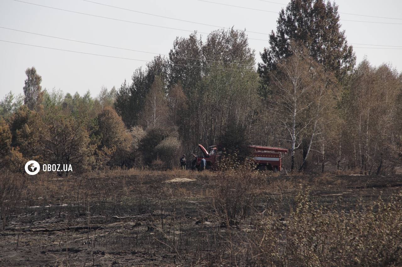 Площадь около 1 га: в Киевской области спасатели потушили пожар, который вывел столицу в рейтинг самых загрязненных городов. Фото и видео