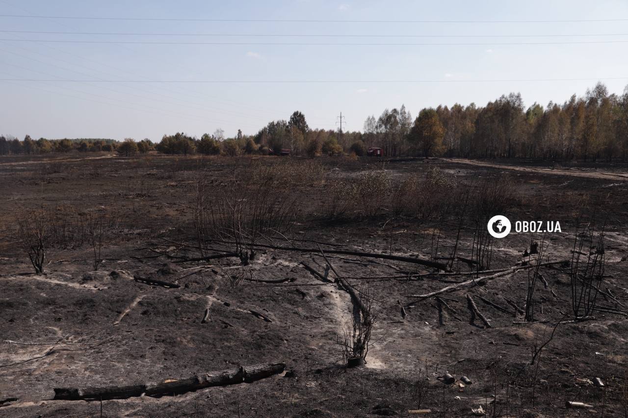 Площа близько 1 га: на Київщині рятувальники загасили пожежу, яка вивела столицю в рейтинг найзабрудненіших міст. Фото і відео