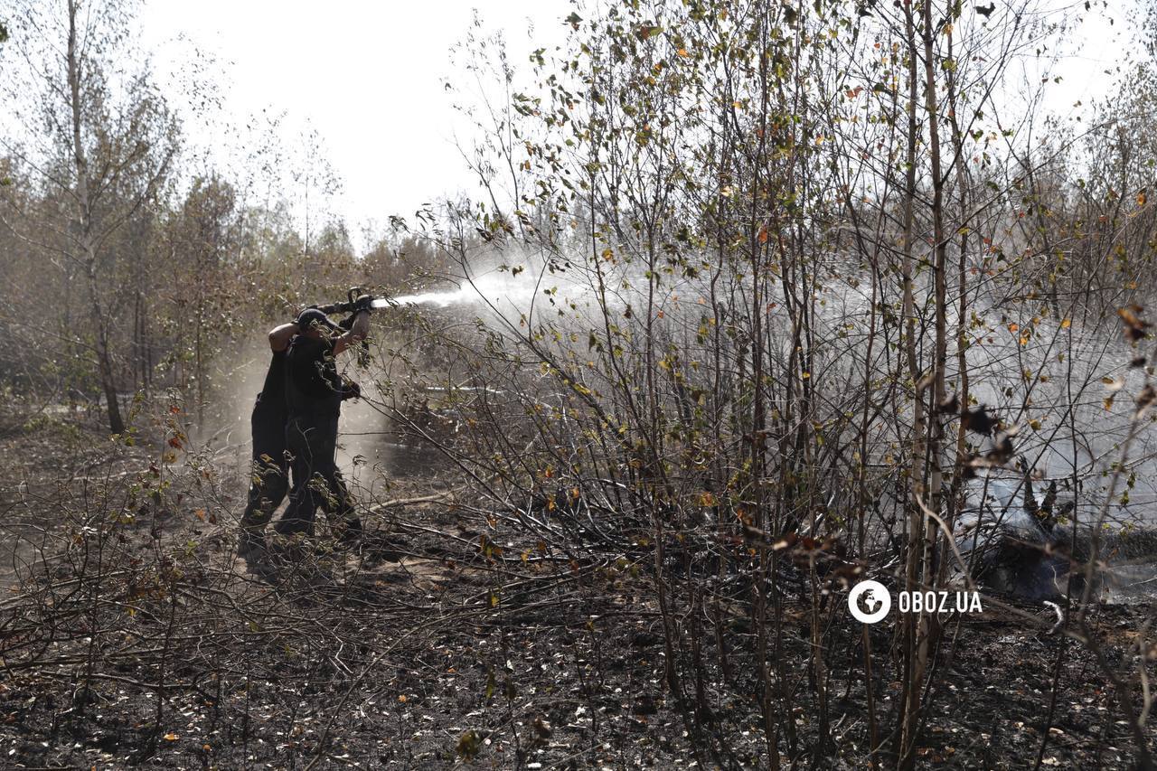 Площа близько 1 га: на Київщині рятувальники загасили пожежу, яка вивела столицю в рейтинг найзабрудненіших міст. Фото і відео