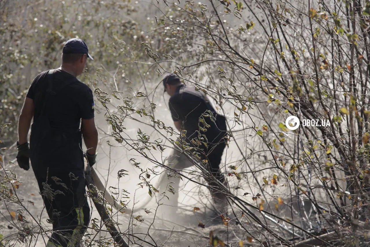 Площа близько 1 га: на Київщині рятувальники загасили пожежу, яка вивела столицю в рейтинг найзабрудненіших міст. Фото і відео