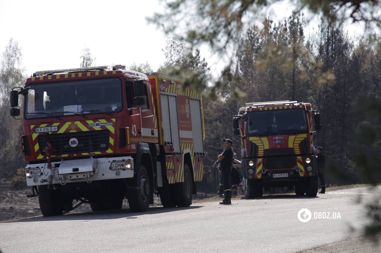 Площа близько 1 га: на Київщині рятувальники загасили пожежу, яка вивела столицю в рейтинг найзабрудненіших міст. Фото і відео