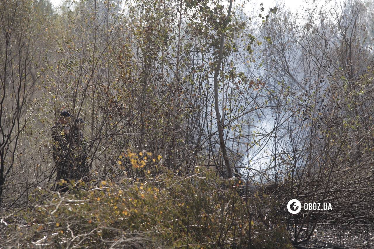 Площадь около 1 га: в Киевской области спасатели потушили пожар, который вывел столицу в рейтинг самых загрязненных городов. Фото и видео