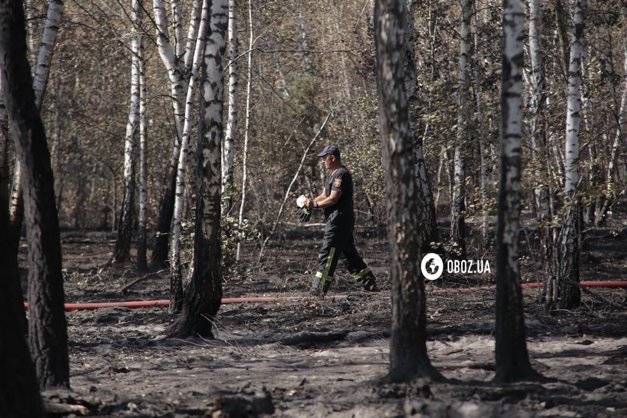 Площадь около 1 га: в Киевской области спасатели потушили пожар, который вывел столицу в рейтинг самых загрязненных городов. Фото и видео