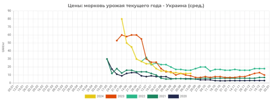 В Украине существенно подорожала морковь