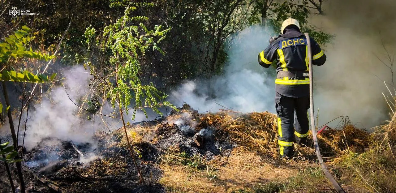 Кожне життя важливе: на Київщині під час гасіння пожежі працівники ДСНС врятували їжака. Фото