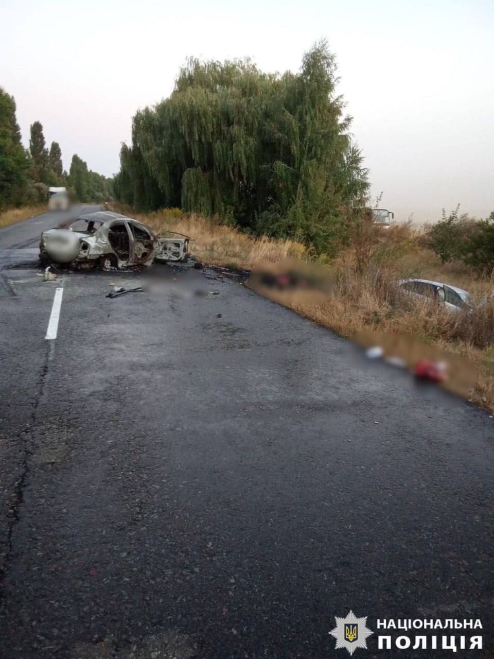 На Київщині внаслідок ДТП одна машина згоріла, а інша вилетіла в кювет: є загиблі та постраждалі. Фото