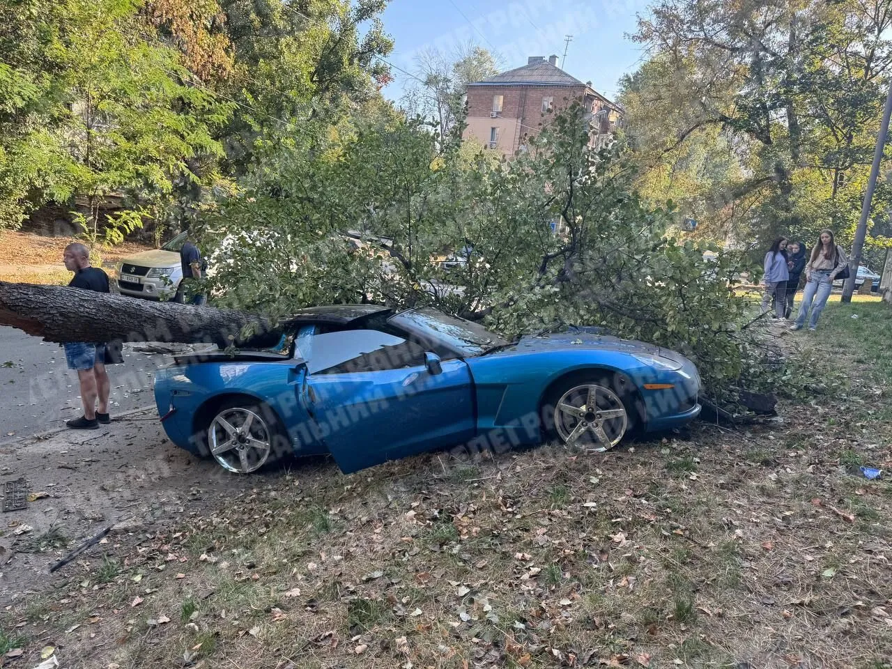 У Києві спорткар на швидкості врізався у дерево та повалив його. Подробиці, фото і відео