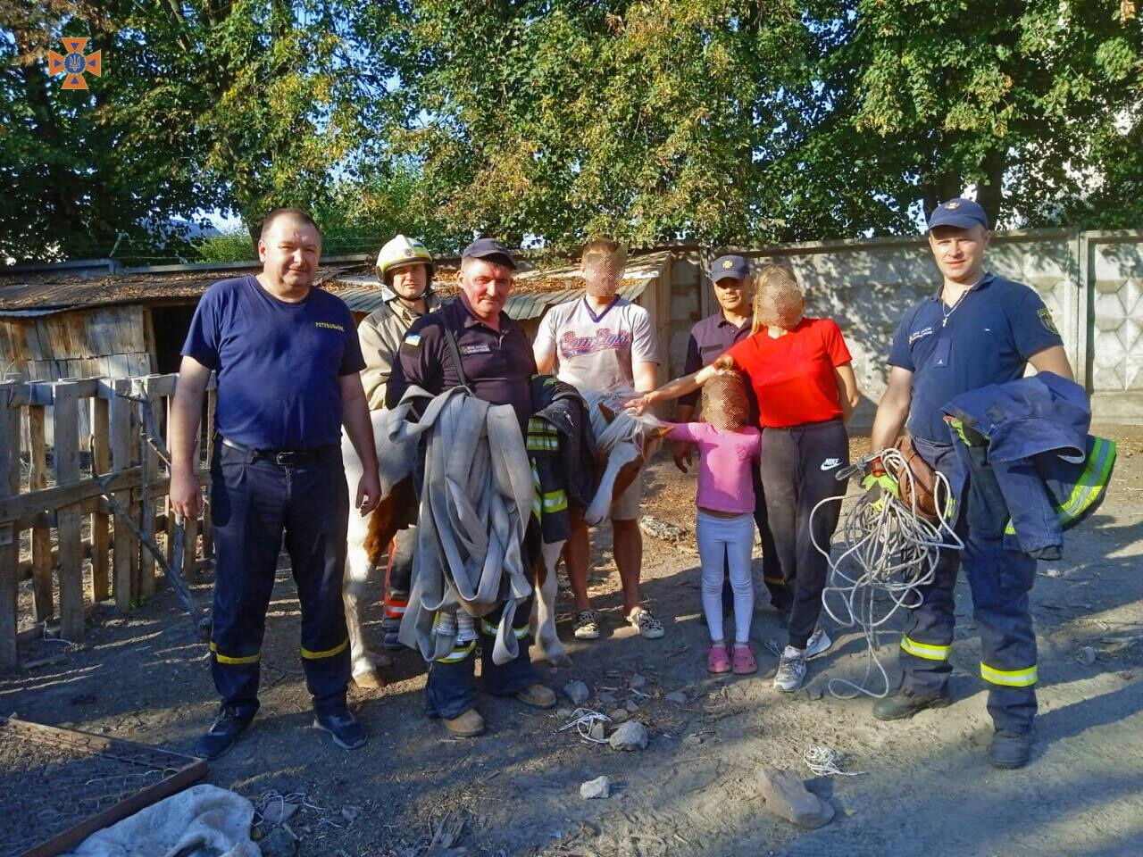 Во время ночной прогулки упал в погреб: в Киевской области спасатели помогли маленькому пони. Фото и видео