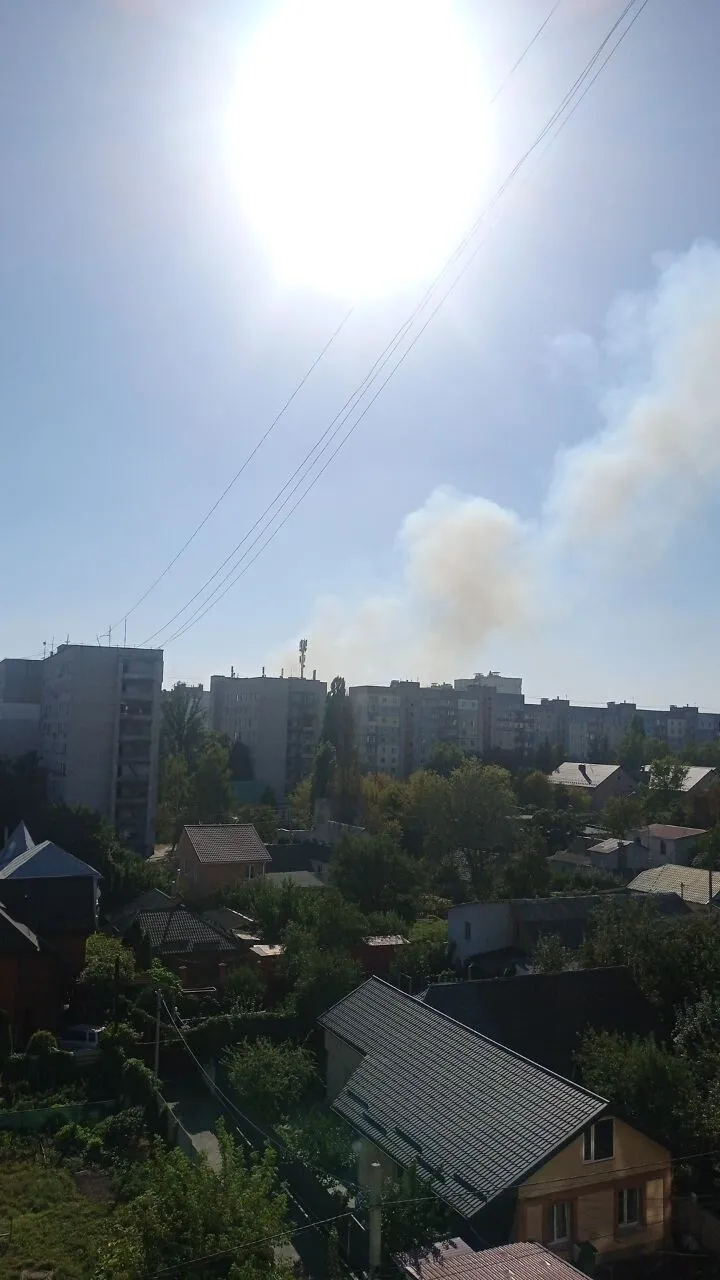 В Киевской области произошел масштабный пожар в экосистеме. Все подробности, фото и видео