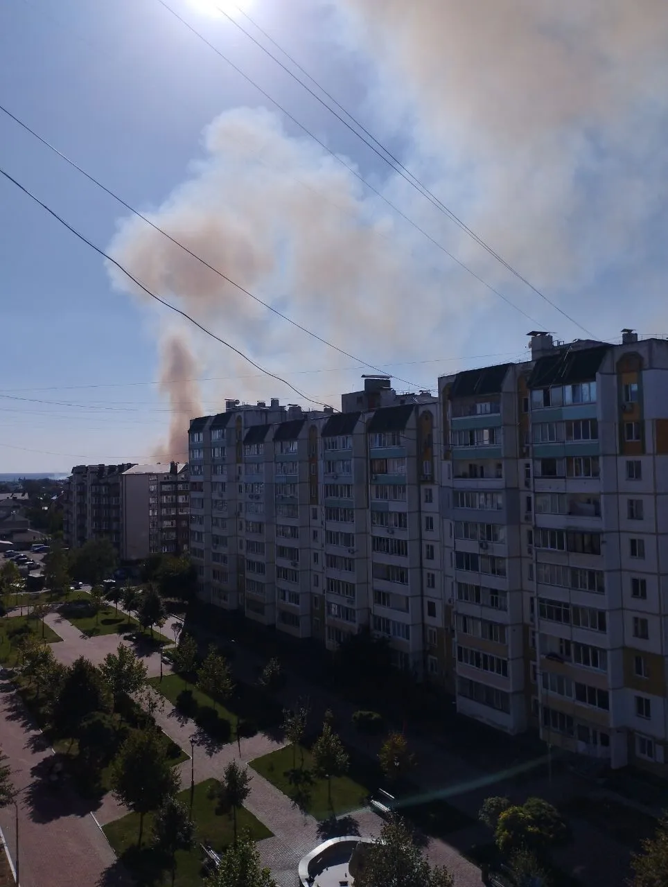 На Київщині сталась масштабна пожежа в екосистемі. Усі подробиці, фото і відео