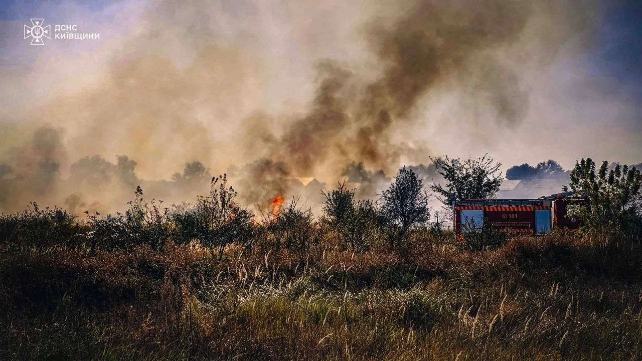 На Київщині сталась масштабна пожежа в екосистемі. Усі подробиці, фото і відео