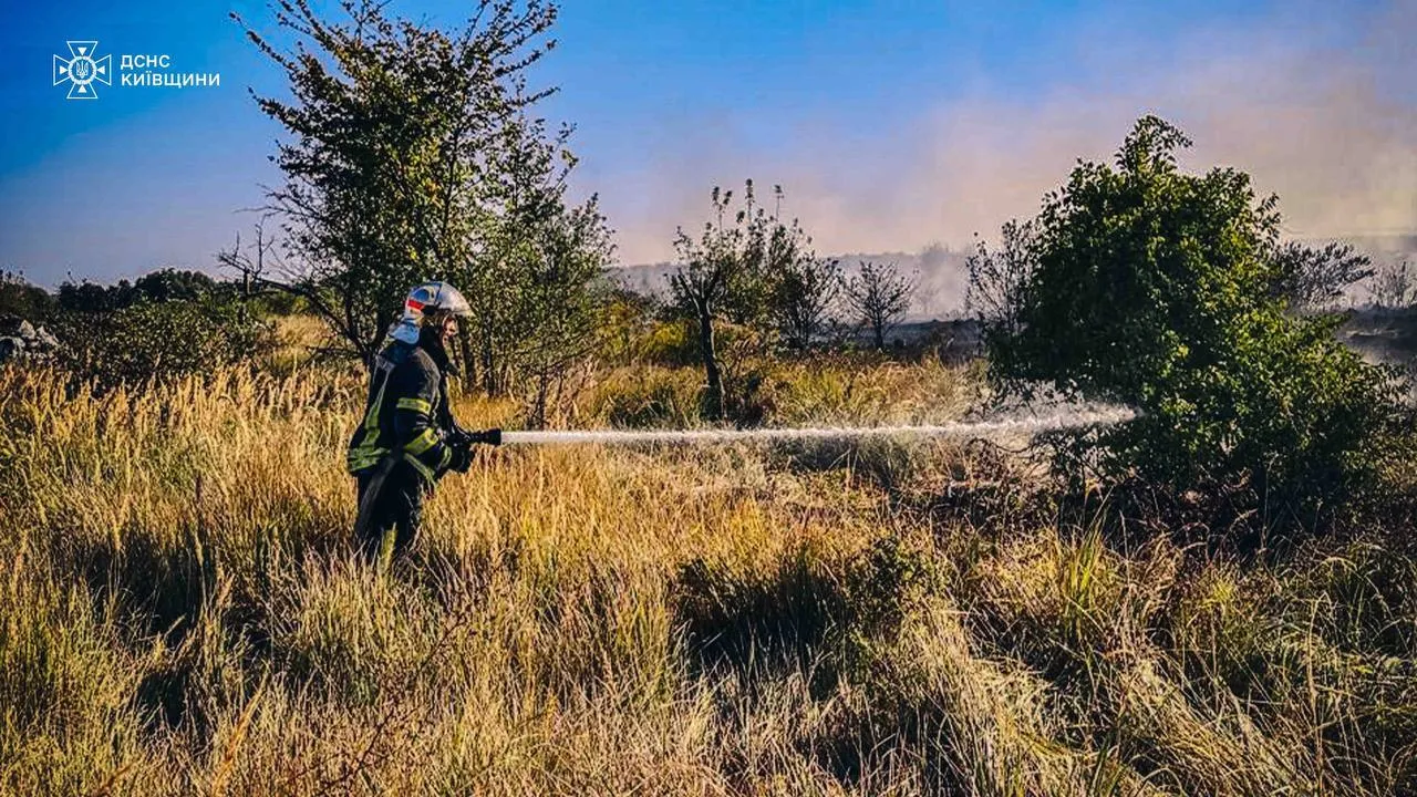 На Київщині сталась масштабна пожежа в екосистемі. Усі подробиці, фото і відео