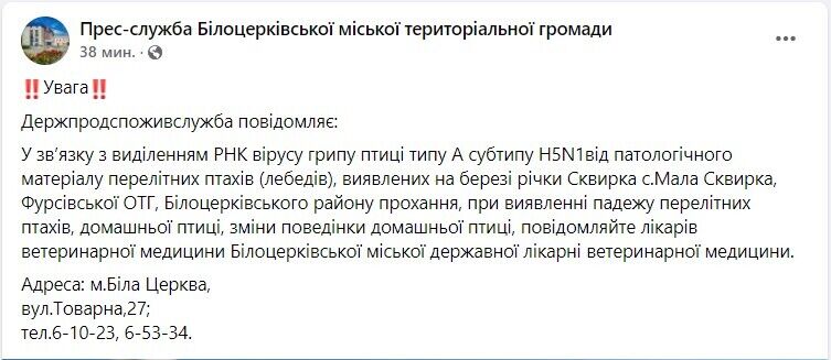 В Киевской области в одном из районов обнаружили птичий грипп: что известно