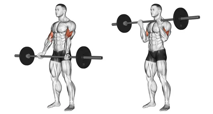 Топ-10 упражнений для мужчин: как эффективно нарастить бицепсы и трицепсы