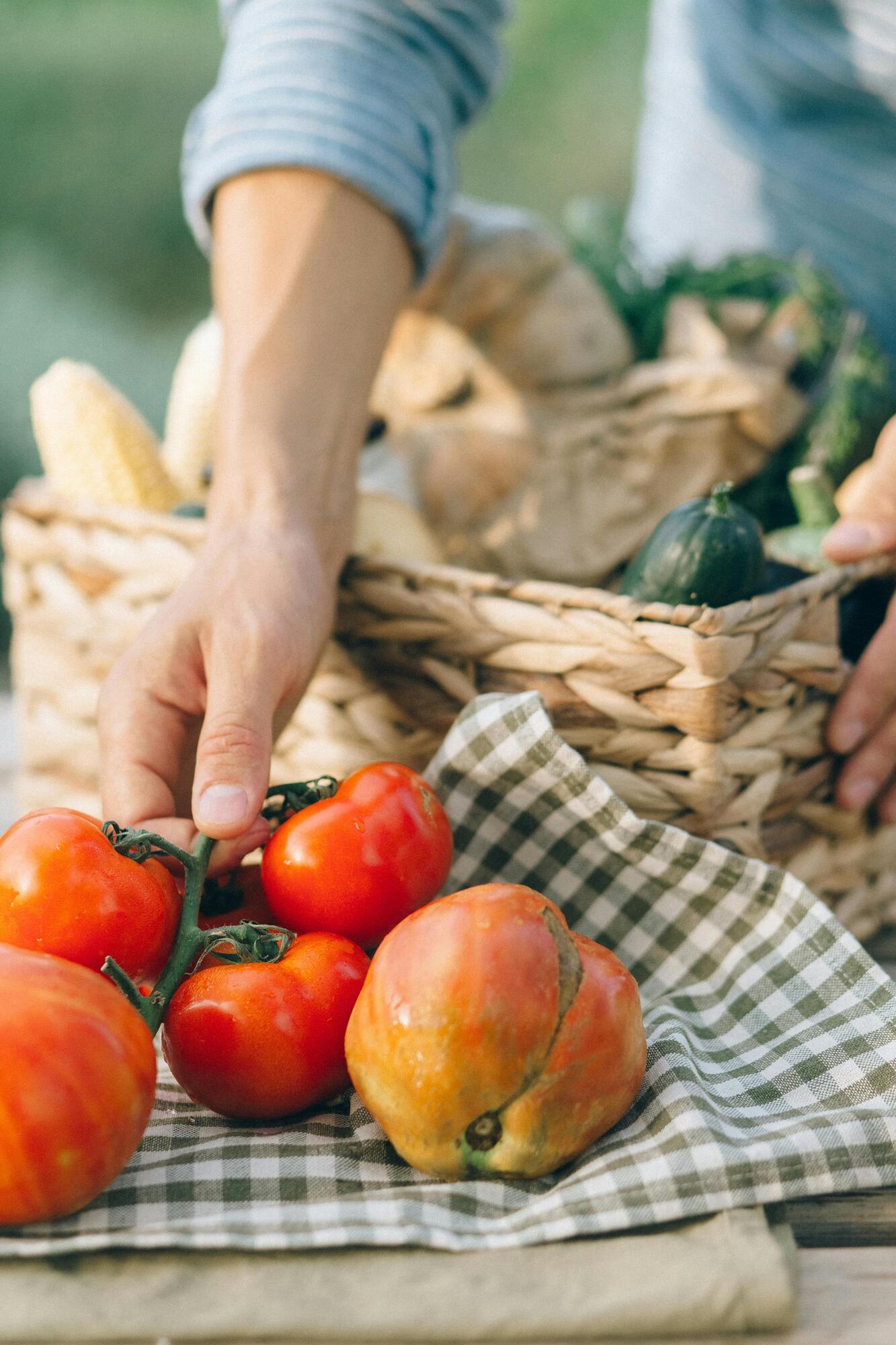 От кетчупа до хлеба: как правильно хранить продукты, чтобы они не портились