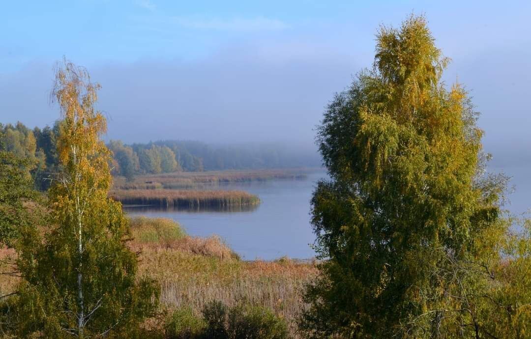 Горить 20 га лісової підстилки: у Чорнобильській зоні спалахнула пожежа, залучено рятувальників