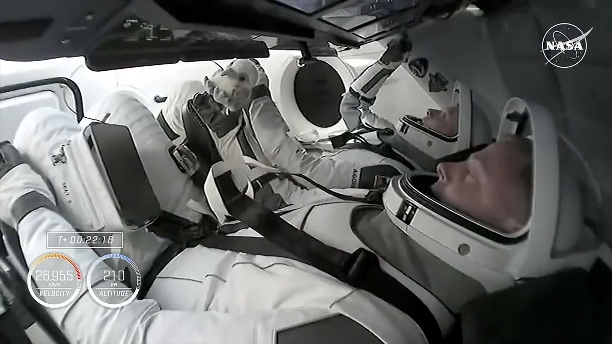 Астронавти SpaceX Crew-9 прибули на МКС із плюшевою "Авророю" на борту: що екіпаж там робитиме і для чого йому ця російська традиція. Фото і відео
