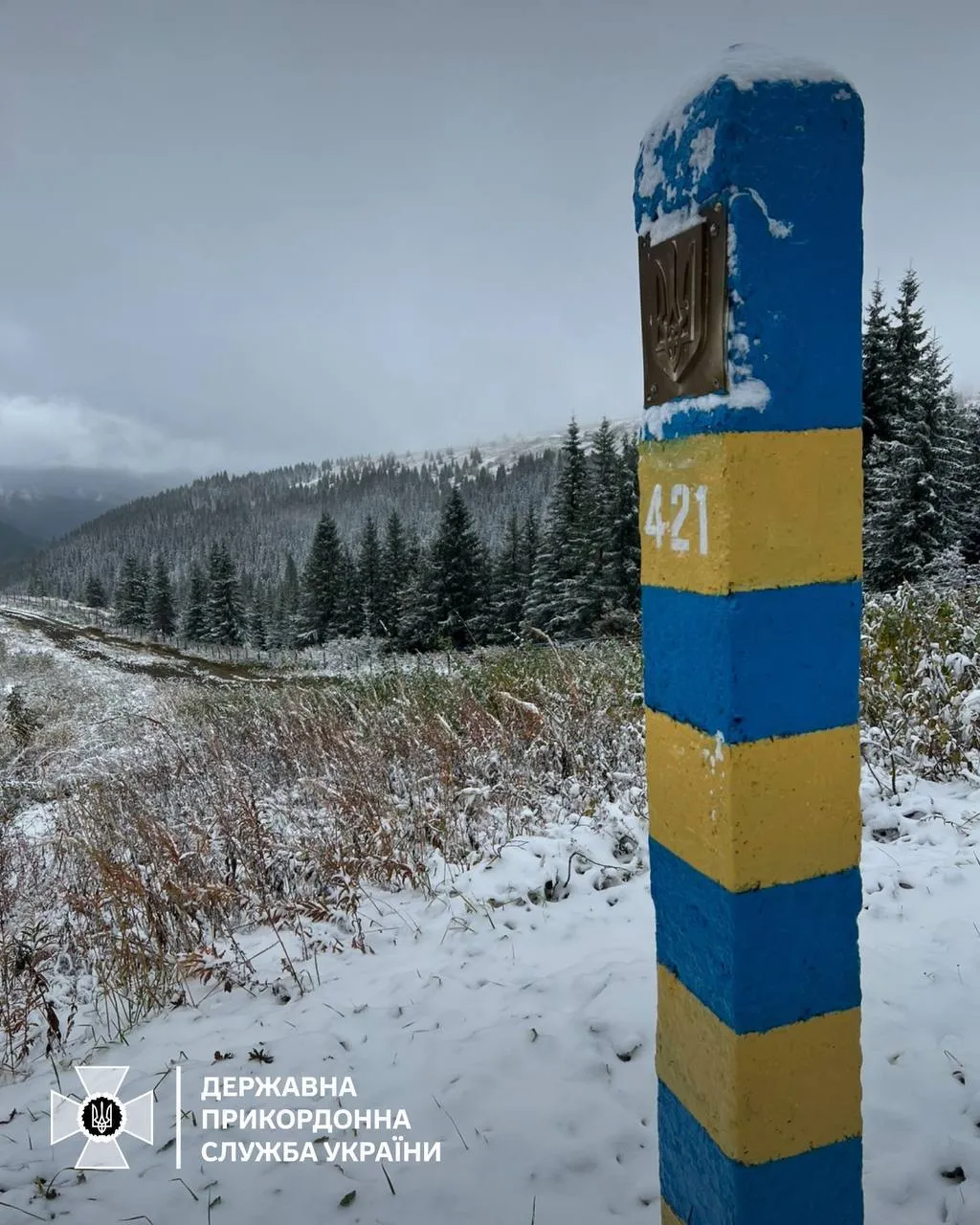 В Украине выпал первый снег: в сети показали яркие кадры. Фото и видео