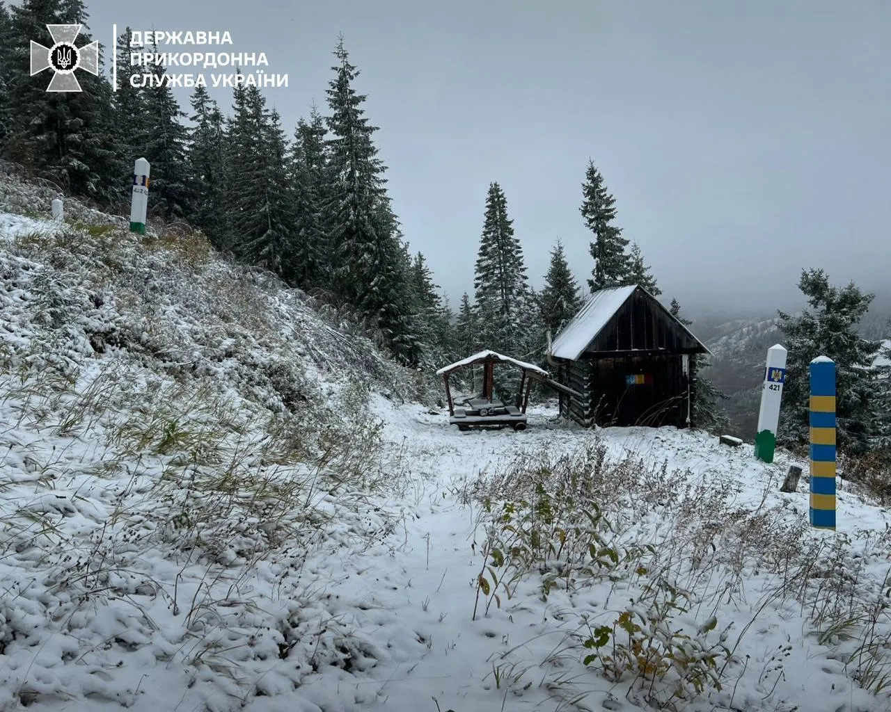 В Украине выпал первый снег: в сети показали яркие кадры. Фото и видео