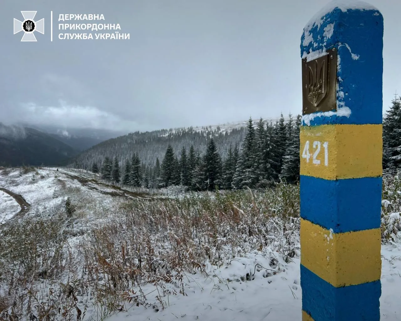 В Україні випав перший сніг: у мережі показали колоритні кадри. Фото і відео